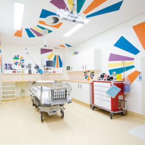 Project: Joonadalup Emergency Ward, Perth WA